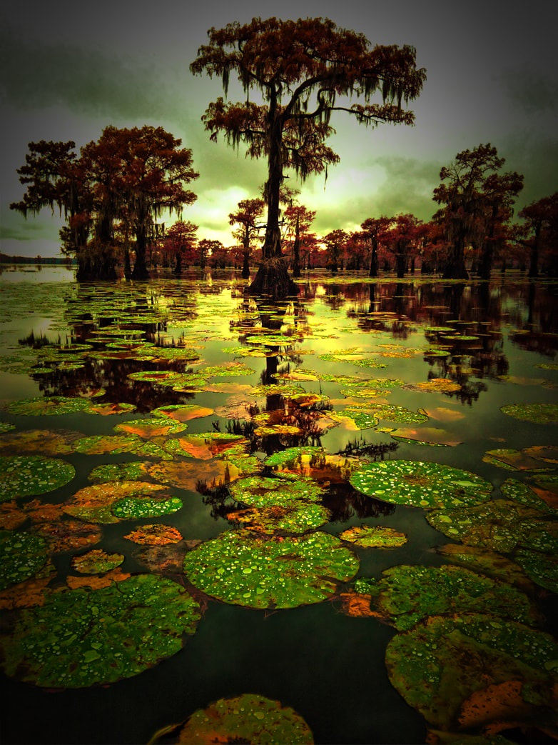 Picture